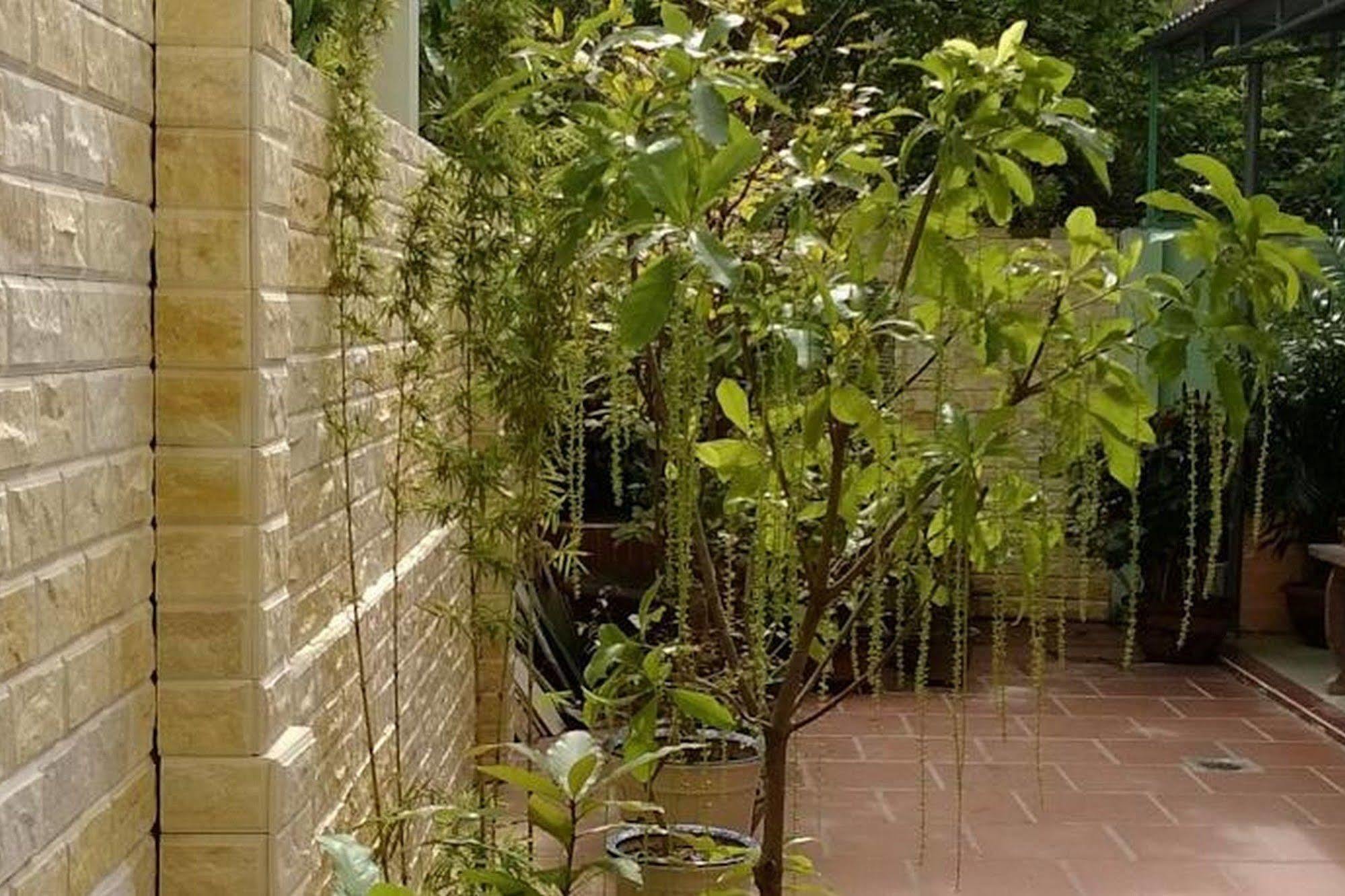 Hi Hop Yen Homestay Hoi An Zewnętrze zdjęcie